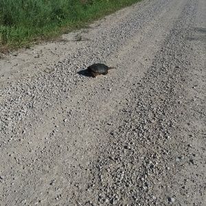 Meet your Posher, Keely